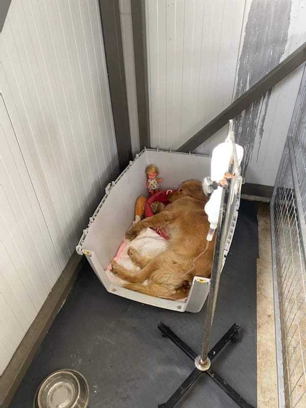 Άμεση κινητοποίηση μετά το ρεπορτάζ της «ΚΡΗΝΗ LIVE» για να σωθεί ο Άλεξ