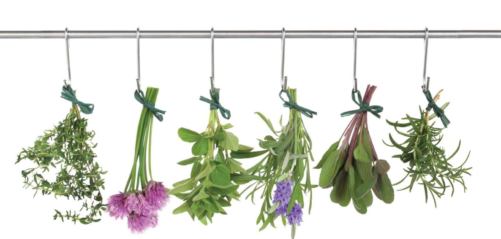 Herbs Hanging and Drying