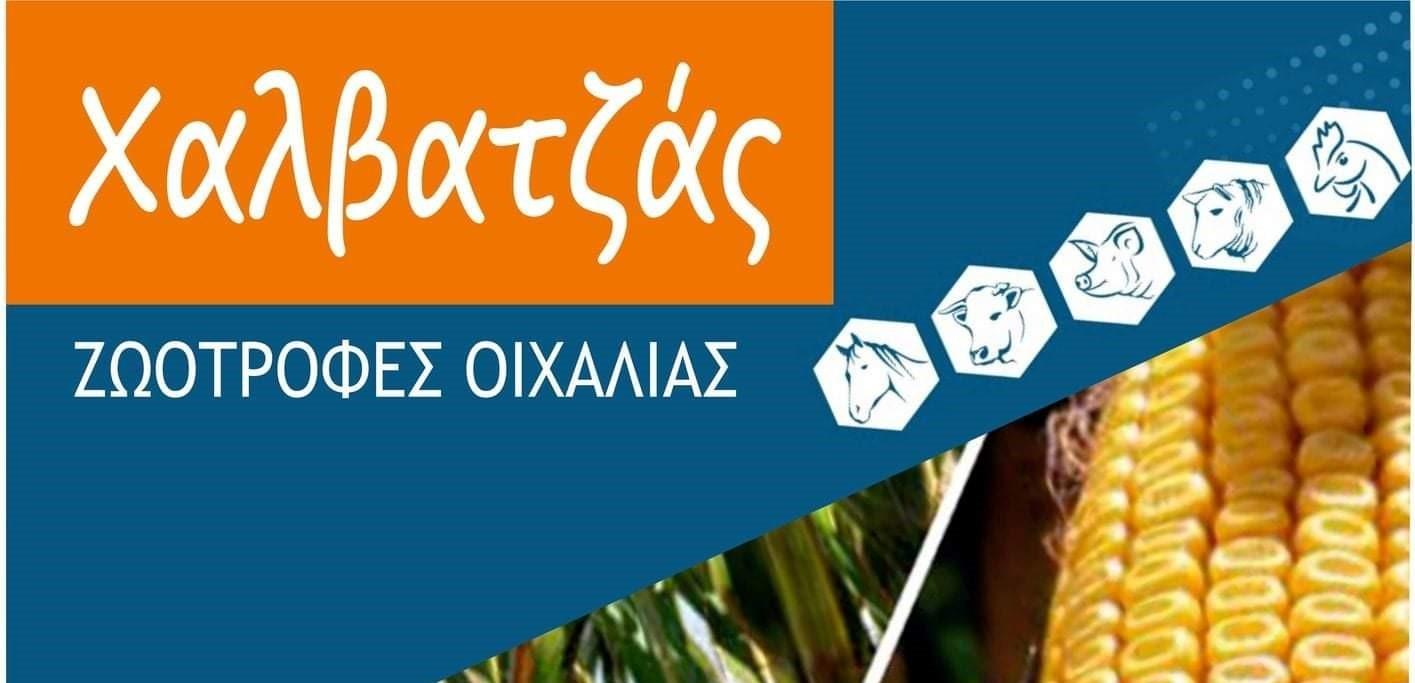 τγ