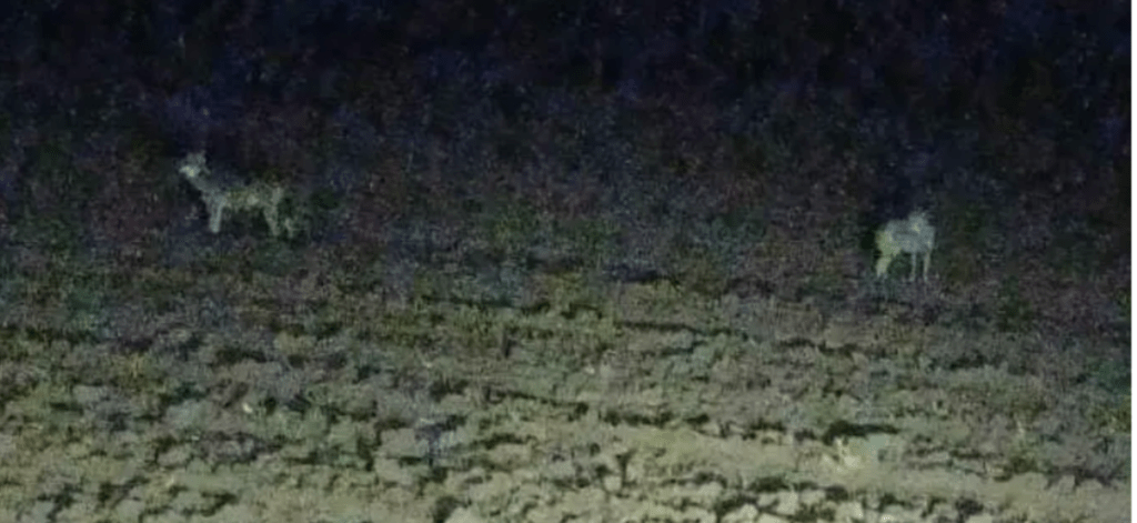 Screenshot_20211116-133526