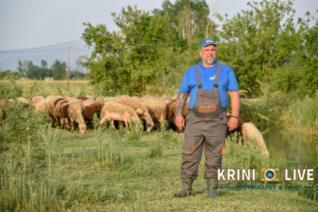 KRL_8888