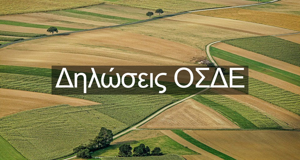 osde1