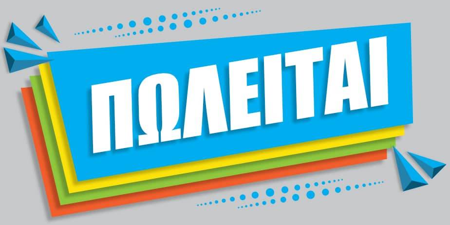 POLEITAI-ksyleia-epiplon-se-poly-kali-timi-60