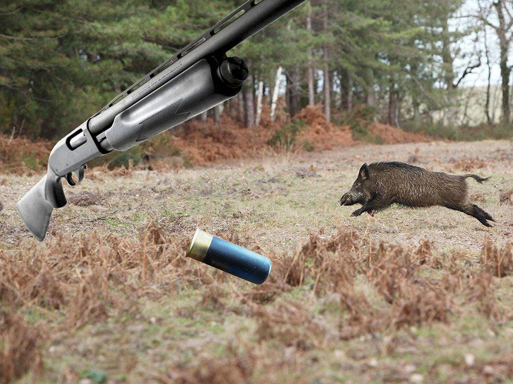 opla-fysiggia-agriogourouno