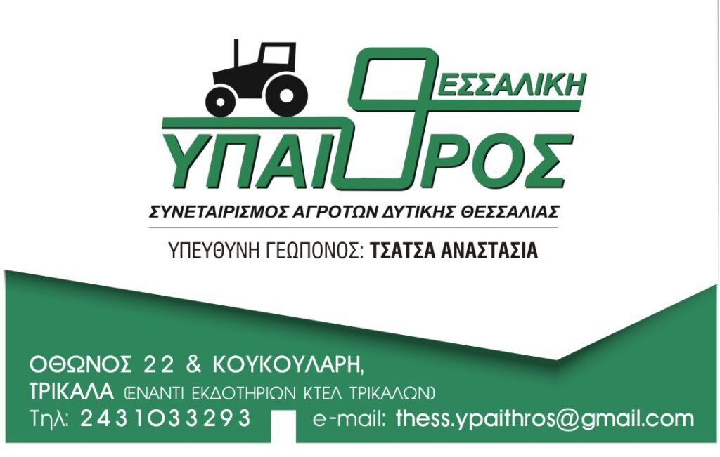 THESSALIKH-YPAITROS_anast_tsatsa_CARD_21 (2)
