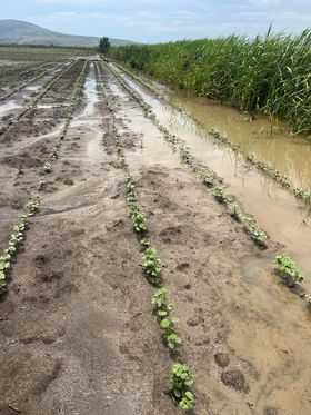 Μεγάλα προβλήματα προκάλεσε η ισχυρή νεροποντή στο Κεραμίδι το περασμένο Σαββατοκύριακο σε καλλιεργούμενες εκτάσεις