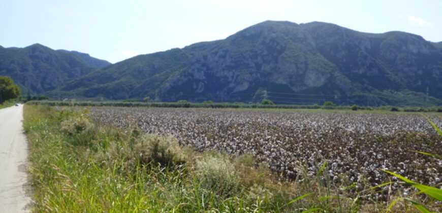 P1100146-870x420