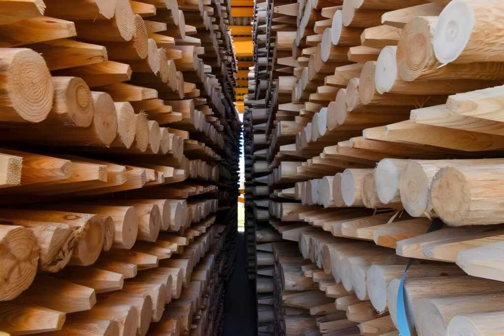 1677687793778_timber-shutterstock_upscaled
