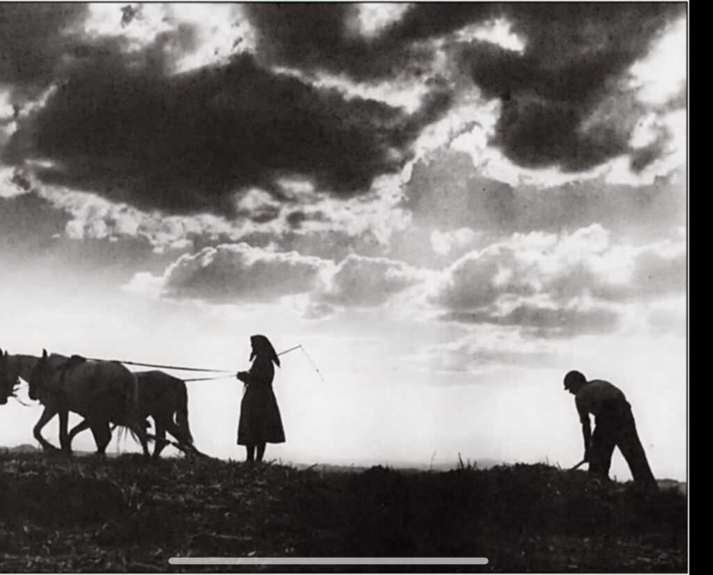 IMG_2044