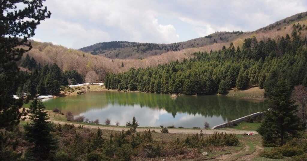 limnh-kath-kallipeykh