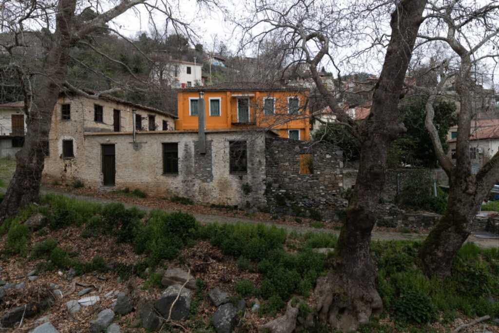 metajoxori