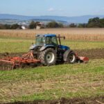 agrotes