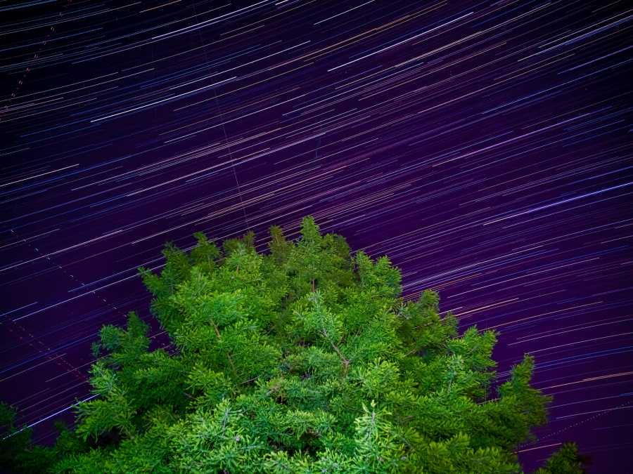 asteria