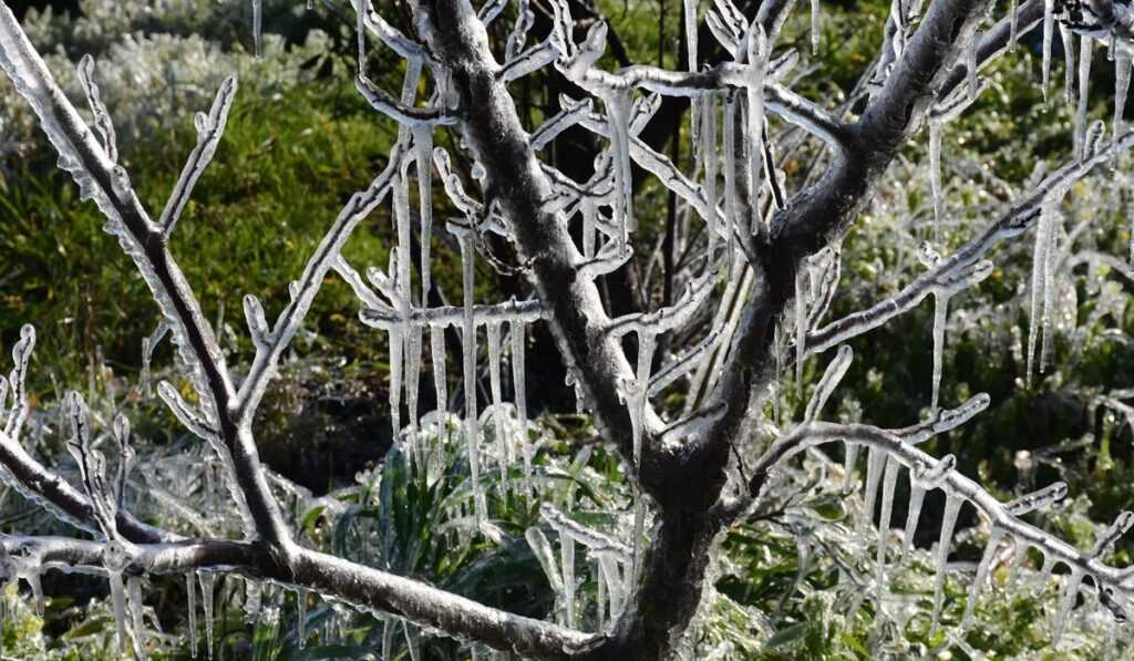 ΠΑΓΕΤΟΣ ΣΤΗΝ ΑΡΓΟΛΙΔΑ 12022023. (ΒΑΣΙΛΗΣ ΠΑΠΑΔΟΠΟΥΛΟΣ/EUROKINISSI)