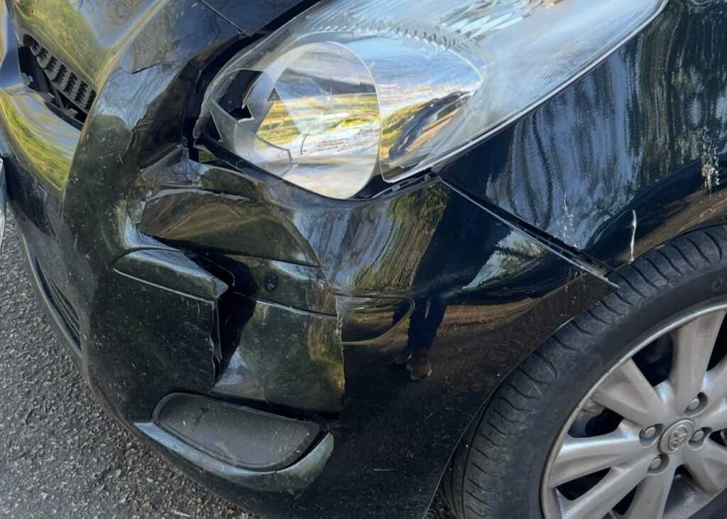 Τροχαίο με αγριογούρουνο για γυναίκα οδηγό στην Κρήνη Τρικάλων