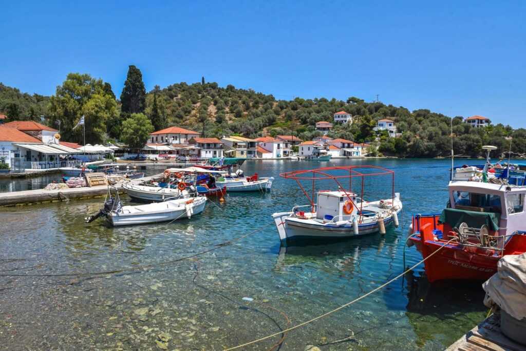 ΚΟΥΠΟΝΙΑ ΟΓΑ