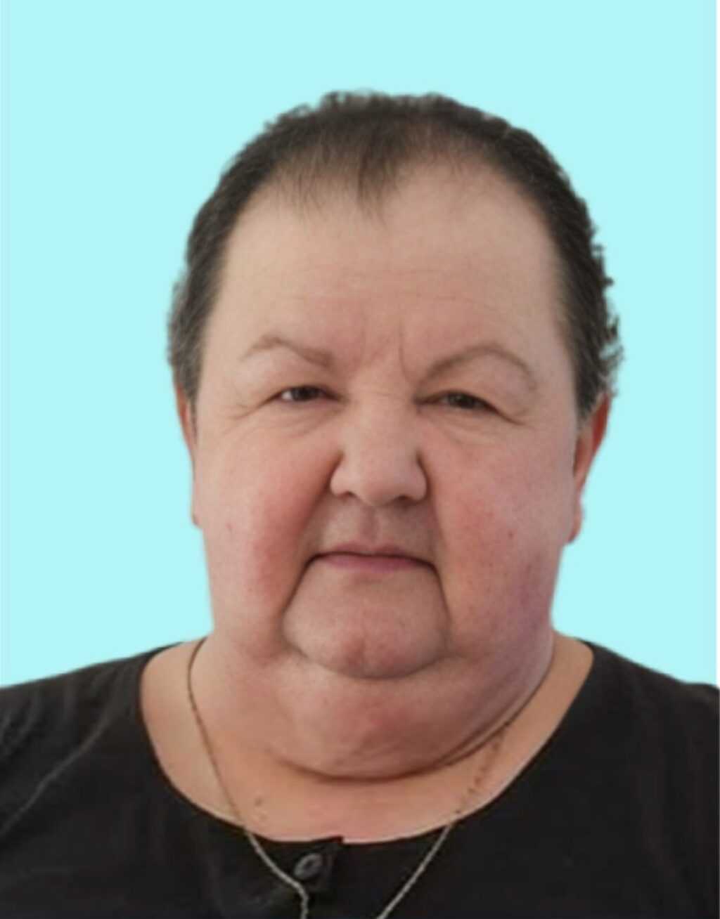 Πετρόπορος