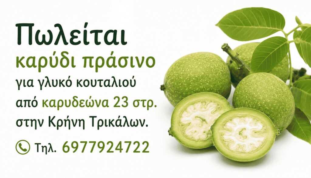 Διαφήμιση_Καρύδι-Πράσινο_Μάιος-2026