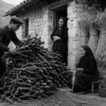 Ρετρό: Όταν ο γαμπρός κρινόταν… από τα πουρνάρια της αυλής – Μια ξεχασμένη ιστορία από την παλιά Κρήνη Τρικάλων