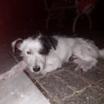 att.EjKiQCe-wsgpdT7AsSiwxYikKrM05adPpartc_8o4BY