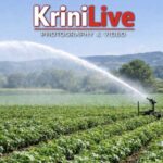 IMG_8498