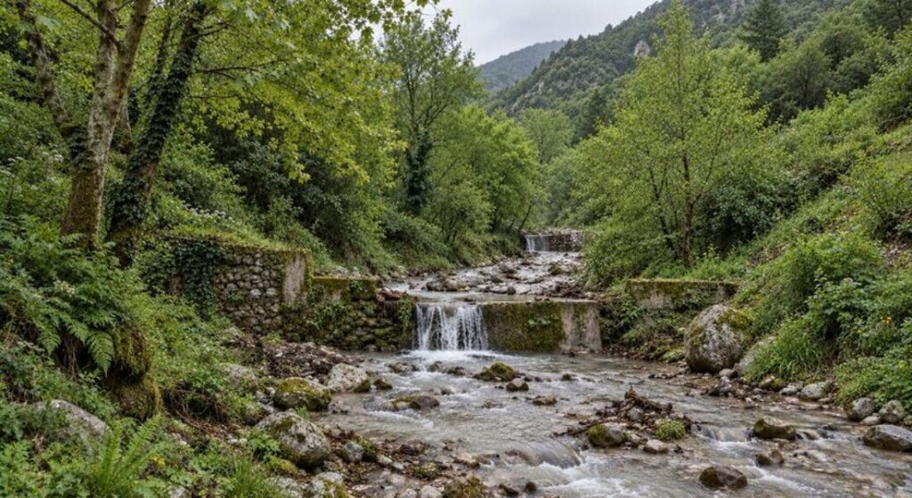 potami