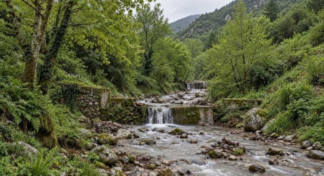 potami