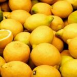 lemonia