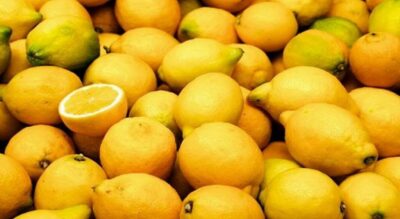 lemonia