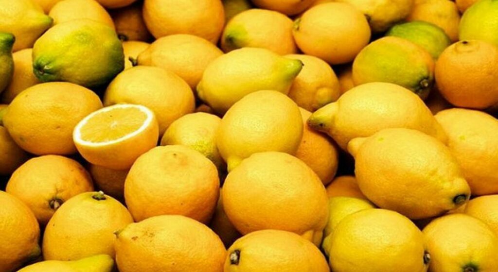 lemonia