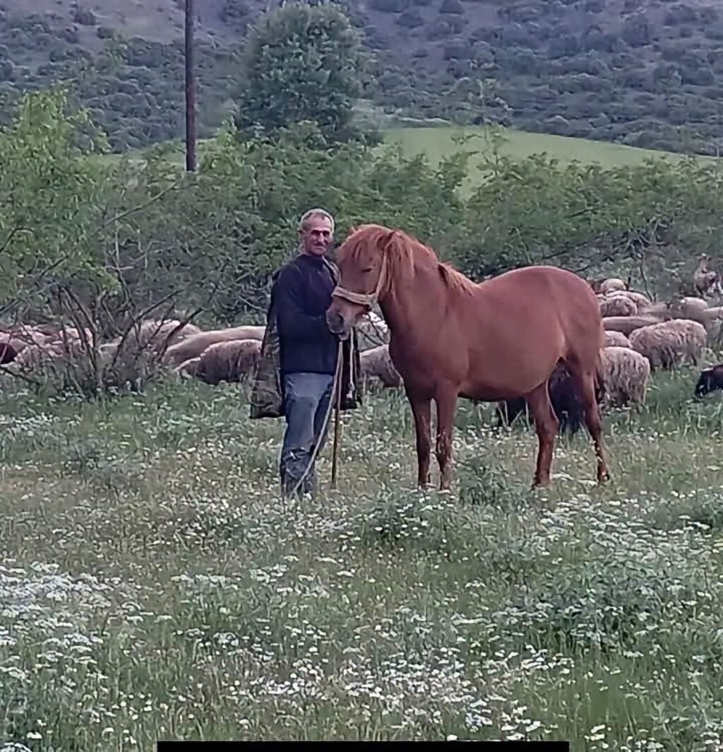 ΚΑΨΙΩΧΑΣ ΑΠΟΣΤΟΛΟΣ