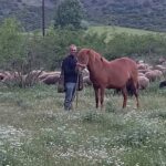 ΚΑΨΙΩΧΑΣ ΑΠΟΣΤΟΛΟΣ